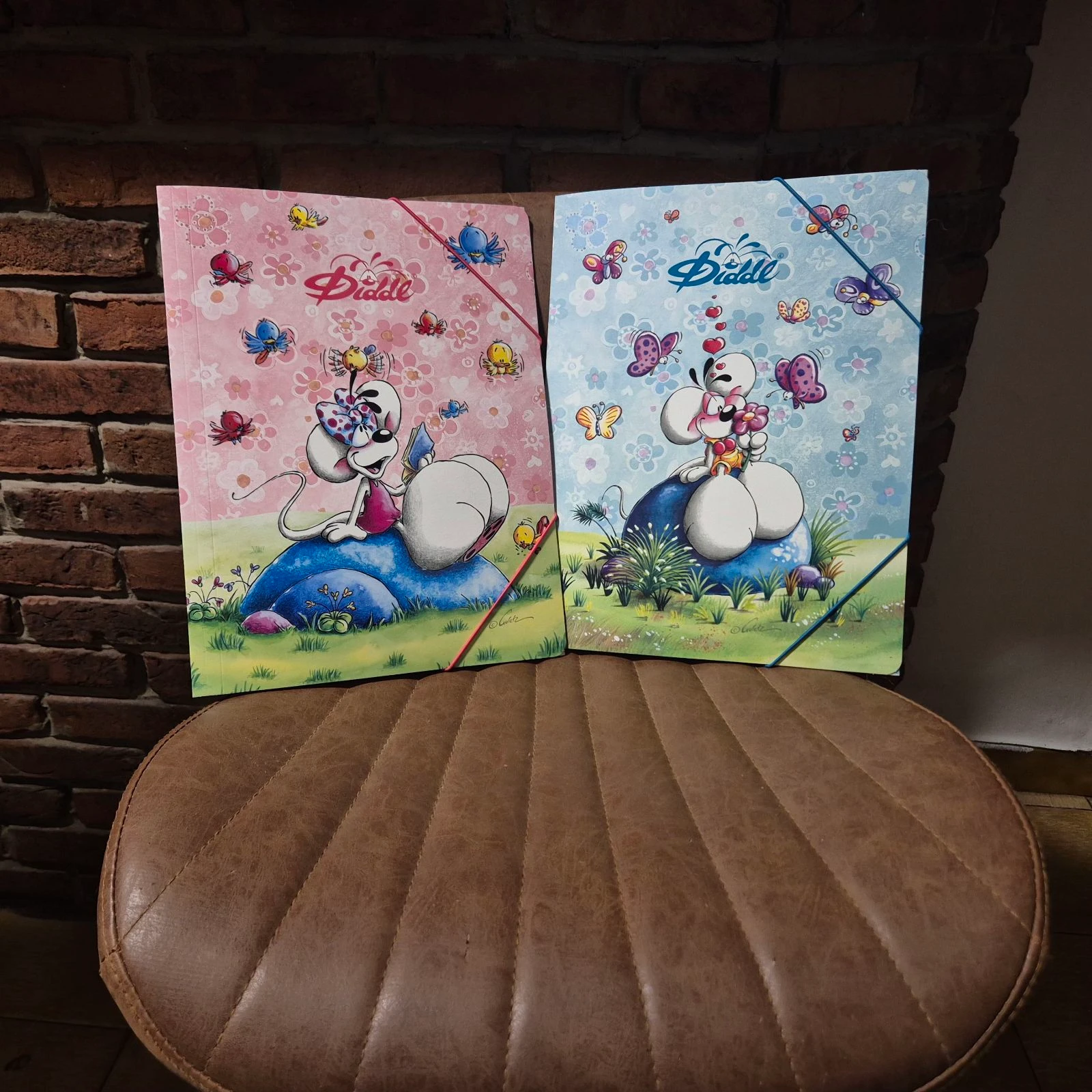 Set van Diddl klepkleedjes en elastieken – photo 3